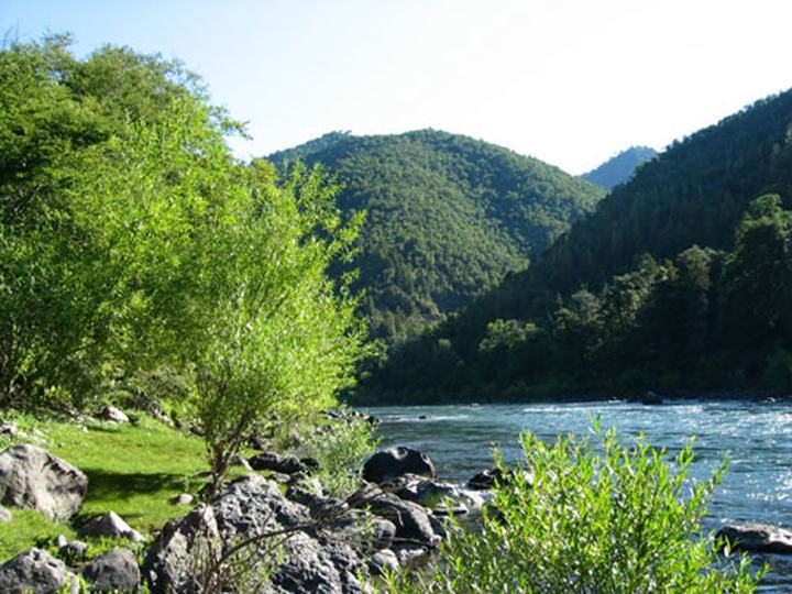 Camp here, please