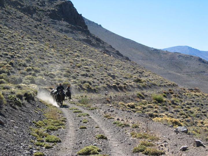 Oncoming traffic in the Andes