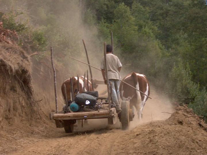 Up with the ox cart
