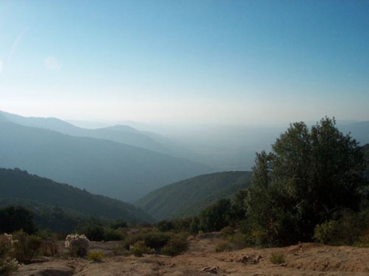 Totoral