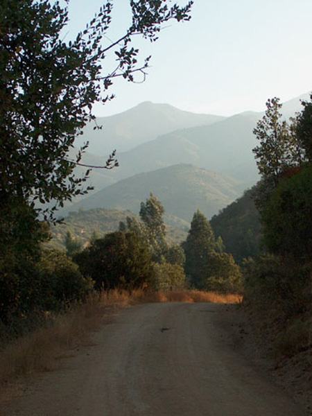 Totoral