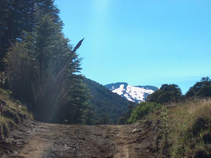 Villarrica National Park