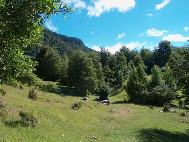 Villarrica National Park
