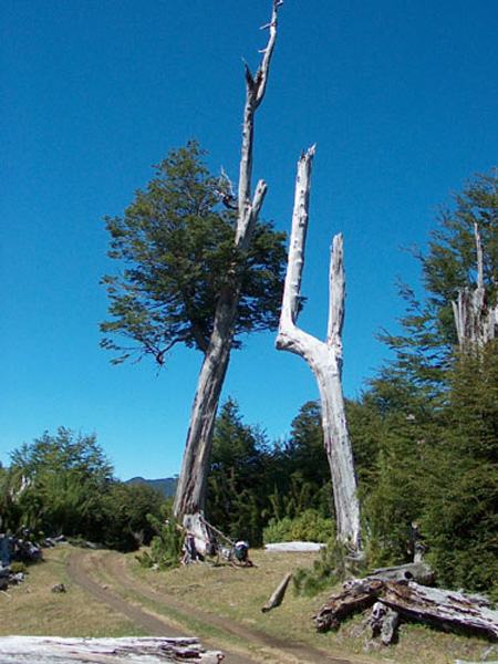Villarrica National Park