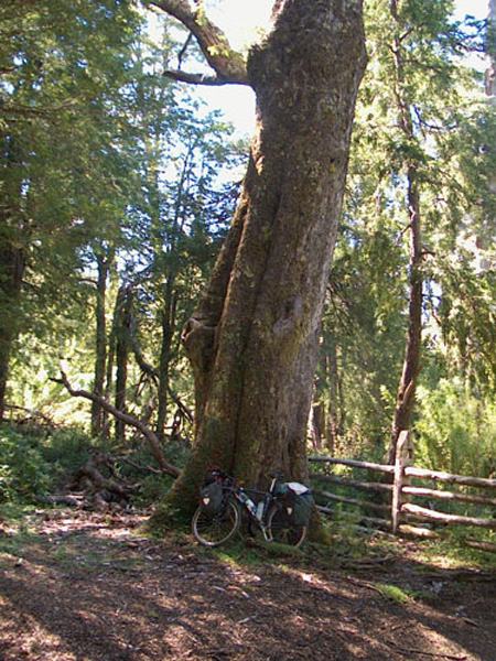 Villarrica National Park