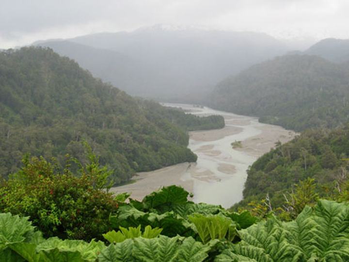 River in the rain