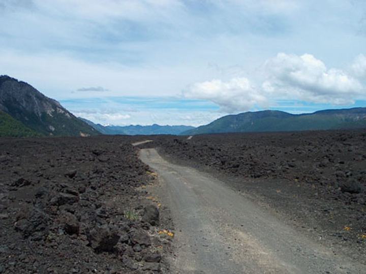 Through lava fields to Conguillío National Park