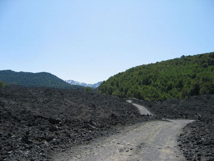 Lava road, Conguillío National Park