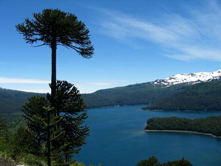 Lake Conguillío