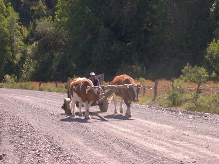 Local transport
