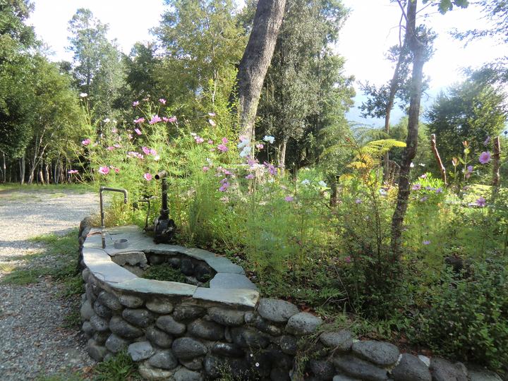 The garden with its stone pond
