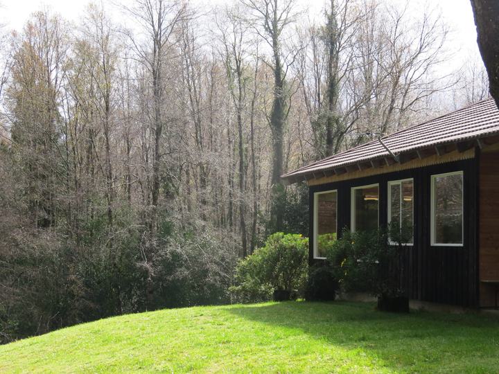 The house at the forest edge