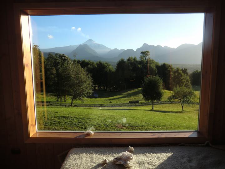 View from the window