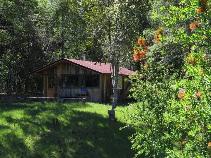 The cabin among flowering notro trees