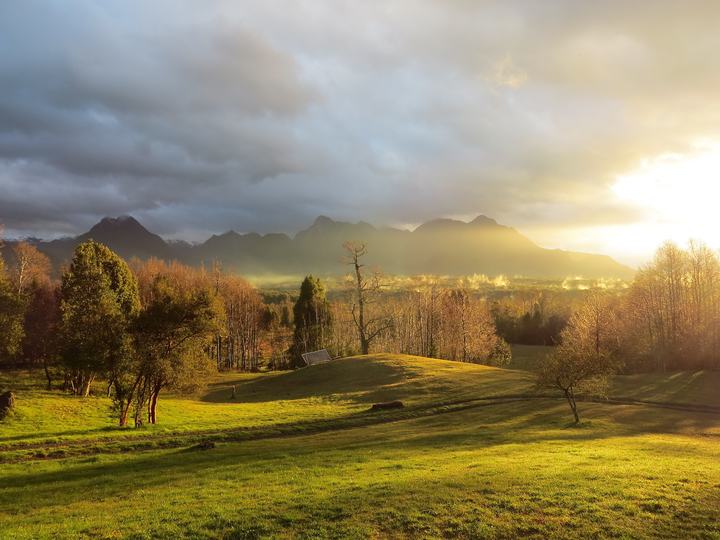 Meadows in evening light