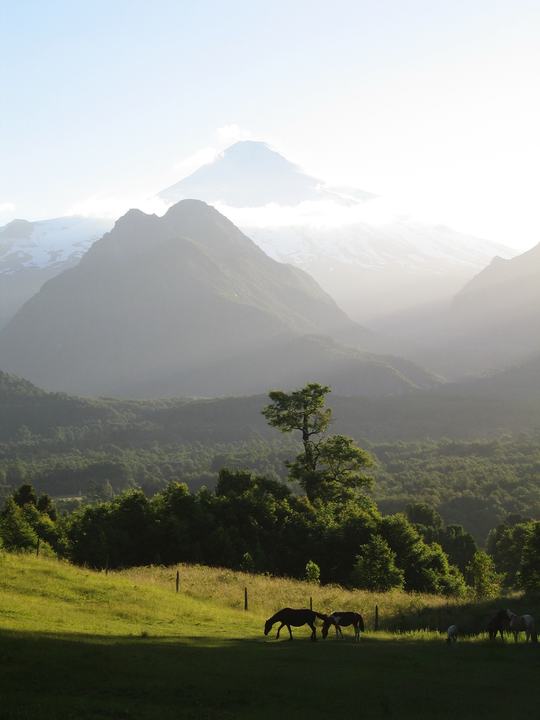 Horses grazing, the volcano behind