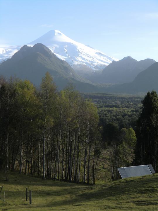 Villarrica from the forest