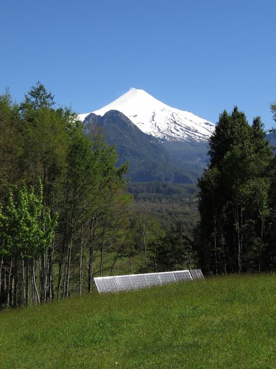 Villarrica above the trees
