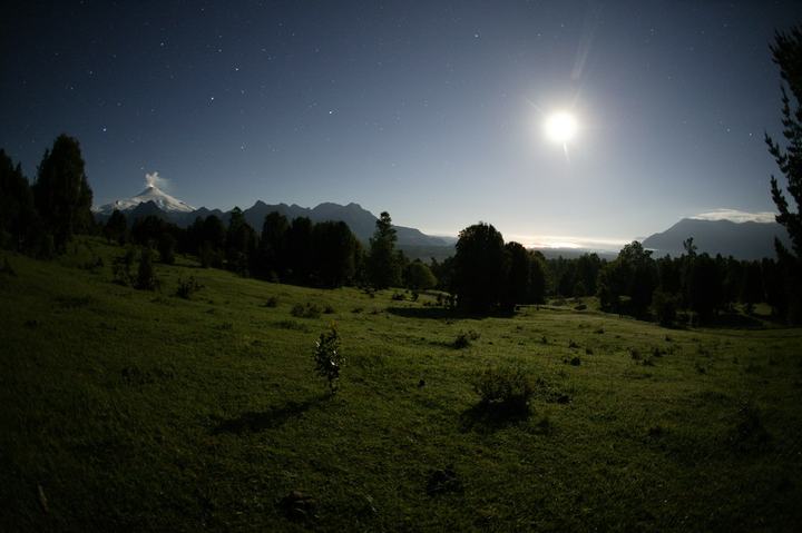 Full moon over the meadow