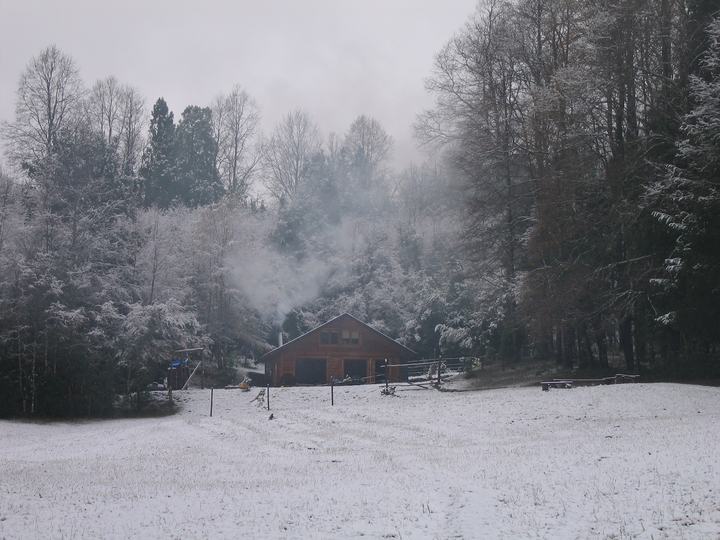 Snow in winter 2007