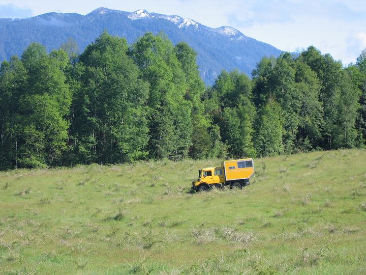Unimog in the meadow